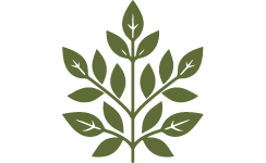 VEG VEG