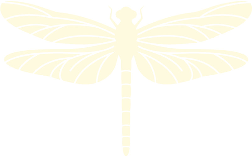 dragonfly_big dragonfly_big