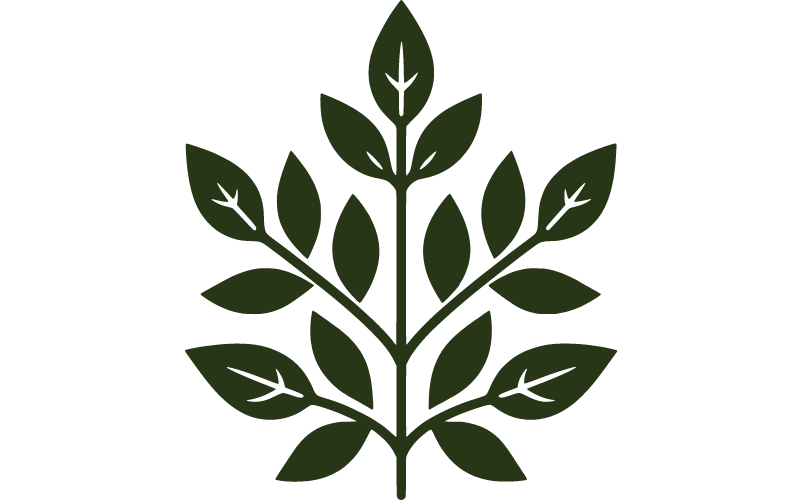 plant_big plant_big